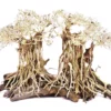 Aquarium Wurzel Bonsai Exclusiv Größe L 60x40cm Nr.80 Holz Deko Aquascaping