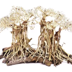 Aquarium Wurzel Bonsai Exclusiv Größe L 60x40cm Nr.80 Holz Deko Aquascaping