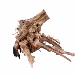 Aquarium Wurzel Bonsai Exclusiv Größe M 35x25cm Nr.76 Holz Deko Aquascaping -Haus Dekoration Verkaufsgeschäft Aquarium Wurzel Bonsai Exclusive Groesse M 35x25cm Nr 76 Holz Deko Aquascaping DSC03221 22451