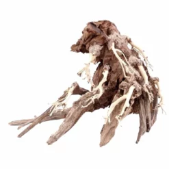 Aquarium Wurzel Bonsai Exclusiv Größe M 35x25cm Nr.76 Holz Deko Aquascaping -Haus Dekoration Verkaufsgeschäft Aquarium Wurzel Bonsai Exclusive Groesse M 35x25cm Nr 76 Holz Deko Aquascaping DSC03228 22451