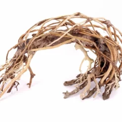 Aquarium Wurzel Bonsai Exclusiv Größe XL 55x35cm Nr.78 Holz Deko Aquascaping -Haus Dekoration Verkaufsgeschäft Aquarium Wurzel Bonsai Exclusive Groesse XL 70x50cm Nr 32 Holz Deko Aquascaping DSC03208 23108