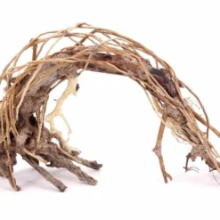 Aquarium Wurzel Bonsai Exclusiv Größe XL 55x35cm Nr.78 Holz Deko Aquascaping -Haus Dekoration Verkaufsgeschäft Aquarium Wurzel Bonsai Exclusive Groesse XL 70x50cm Nr 32 Holz Deko Aquascaping DSC03211 23108