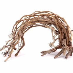 Aquarium Wurzel Bonsai Exclusiv Größe XL 55x35cm Nr.78 Holz Deko Aquascaping -Haus Dekoration Verkaufsgeschäft Aquarium Wurzel Bonsai Exclusive Groesse XL 70x50cm Nr 32 Holz Deko Aquascaping DSC03214 23108