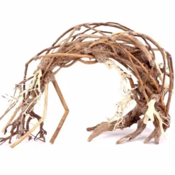 Aquarium Wurzel Bonsai Exclusiv Größe XL 55x35cm Nr.78 Holz Deko Aquascaping -Haus Dekoration Verkaufsgeschäft Aquarium Wurzel Bonsai Exclusive Groesse XL 70x50cm Nr 32 Holz Deko Aquascaping DSC03215 23108