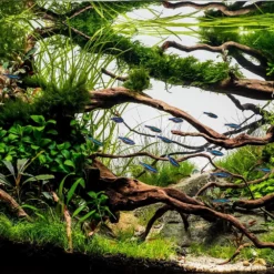 CHJ-1502 Aquarium Innenfilter 1500 L/h Bis 500l Aquarien -Haus Dekoration Verkaufsgeschäft CHJ 1502 Aquarium Innenfilter 1500 L h bis 500l Aquarien 6 10269