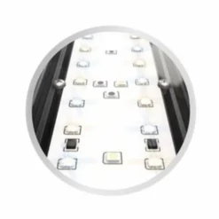 Juwel HeliaLux Spectrum 550 Aquariumlampe LED 27 Watt 6 Juwel HeliaLux Spectrum 550 Aquariumlampe LED 27 Watt -Haus Dekoration Verkaufsgeschäft Juwel HeliaLux Spectrum 550 Aquariumlampe LED 27 10