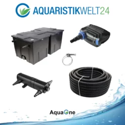 Kammerfilter Set CBF 350 B Mit 20W Eco Pumpe 10m Schlauch Bis 60.000l Nr.72 -Haus Dekoration Verkaufsgeschäft Kammerfilter Set CBF 350 B mit 20W Eco Pumpe 10m Schlauch bis 60 000l Nr 72 6 20361