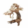 L Bonsai Baum Nr.11312 Wurzel Holz Aquarium Deko Aquascaping