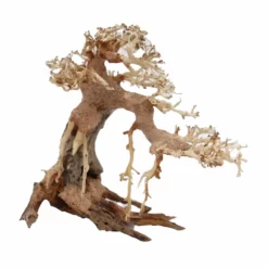 L Bonsai Baum Nr.11312 Wurzel Holz Aquarium Deko Aquascaping -Haus Dekoration Verkaufsgeschäft L Bonsai Baum Nr 11311 Wurzel Holz Aquarium Deko Aquascaping 11312 2k 27523