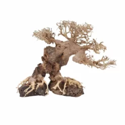 L Bonsai Baum Nr.11332 Wurzel Holz Aquarium Deko Aquascaping