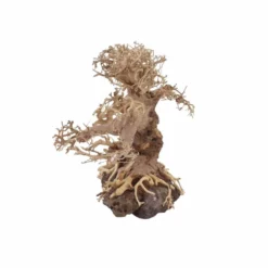 L Bonsai Baum Nr.11332 Wurzel Holz Aquarium Deko Aquascaping -Haus Dekoration Verkaufsgeschäft L Bonsai Baum Nr 11331 Wurzel Holz Aquarium Deko Aquascaping 11332 3 29750