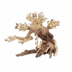 L Bonsai Baum Nr.11343 Wurzel Holz Aquarium Deko Aquascaping -Haus Dekoration Verkaufsgeschäft L Bonsai Baum Nr 11342 Wurzel Holz Aquarium Deko Aquascaping 11343 1 29761