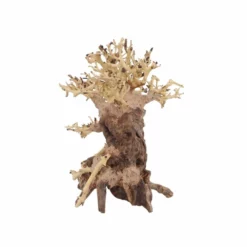 L Bonsai Baum Nr.11343 Wurzel Holz Aquarium Deko Aquascaping -Haus Dekoration Verkaufsgeschäft L Bonsai Baum Nr 11342 Wurzel Holz Aquarium Deko Aquascaping 11343 4 29761