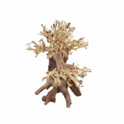 L Bonsai Baum Nr.11343 Wurzel Holz Aquarium Deko Aquascaping -Haus Dekoration Verkaufsgeschäft L Bonsai Baum Nr 11343 Wurzel Holz Aquarium Deko Aquascaping 11343 3 29761