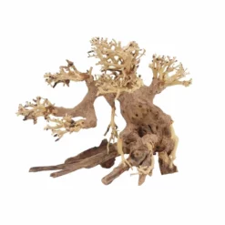 L Bonsai Baum Nr.11345 Wurzel Holz Aquarium Deko Aquascaping -Haus Dekoration Verkaufsgeschäft L Bonsai Baum Nr 11344 Wurzel Holz Aquarium Deko Aquascaping 11345 2 29763
