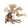L Bonsai Baum Nr.11350 Wurzel Holz Aquarium Deko Aquascaping