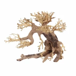 L Bonsai Baum Nr.11350 Wurzel Holz Aquarium Deko Aquascaping -Haus Dekoration Verkaufsgeschäft L Bonsai Baum Nr 11349 Wurzel Holz Aquarium Deko Aquascaping 11350 2 29768