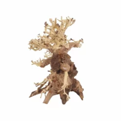 L Bonsai Baum Nr.11354 Wurzel Holz Aquarium Deko Aquascaping -Haus Dekoration Verkaufsgeschäft L Bonsai Baum Nr 11353 Wurzel Holz Aquarium Deko Aquascaping 11354 4 29772