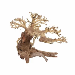 L Bonsai Baum Nr.11355 Wurzel Holz Aquarium Deko Aquascaping