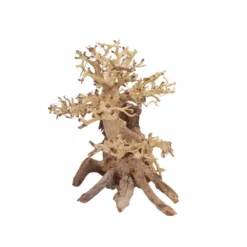 L Bonsai Baum Nr.11355 Wurzel Holz Aquarium Deko Aquascaping -Haus Dekoration Verkaufsgeschäft L Bonsai Baum Nr 11354 Wurzel Holz Aquarium Deko Aquascaping 11355 3 29773