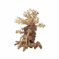 L Bonsai Baum Nr.11355 Wurzel Holz Aquarium Deko Aquascaping -Haus Dekoration Verkaufsgeschäft L Bonsai Baum Nr 11354 Wurzel Holz Aquarium Deko Aquascaping 11355 4 29773