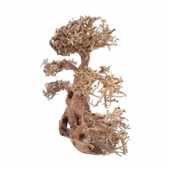 XL Bonsai Baum Nr.12000 Wurzel Holz Aquarium Deko Aquascaping -Haus Dekoration Verkaufsgeschäft L Bonsai Baum Nr 12000 Wurzel Holz Aquarium Deko Aquascaping 12000 2 Kopie 26202
