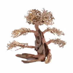 XL Bonsai Baum Nr.12000 Wurzel Holz Aquarium Deko Aquascaping -Haus Dekoration Verkaufsgeschäft L Bonsai Baum Nr 12000 Wurzel Holz Aquarium Deko Aquascaping 12000 3 Kopie 26202