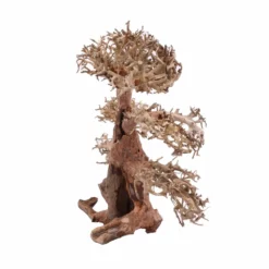 XL Bonsai Baum Nr.12000 Wurzel Holz Aquarium Deko Aquascaping -Haus Dekoration Verkaufsgeschäft L Bonsai Baum Nr 12000 Wurzel Holz Aquarium Deko Aquascaping 12000 4 Kopie 26202