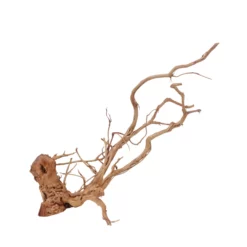 L Drachen Wurzel Nr.7111 Holz Deko Aquascaping -Haus Dekoration Verkaufsgeschäft L Drachen Wurzel Nr 7111 Holz Deko Aquascaping 7112 2 30833