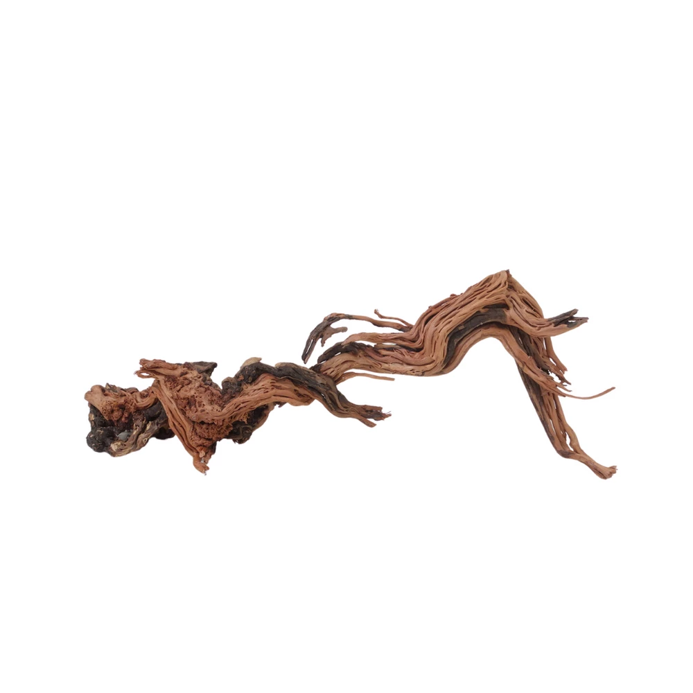 L Drachen Wurzel Nr.7113 Holz Deko Aquascaping 1 L Drachen Wurzel Nr.7113 Holz Deko Aquascaping