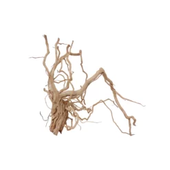 L Drachen Wurzel Nr.7119 Holz Deko Aquascaping -Haus Dekoration Verkaufsgeschäft L Drachen Wurzel Nr 7118 Holz Deko Aquascaping 7119 3 30841