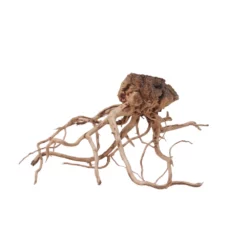 L Drachen Wurzel Nr.7123 Holz Deko Aquascaping