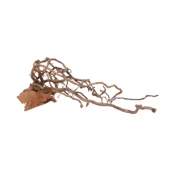 L Drachen Wurzel Nr.7124 Holz Deko Aquascaping 7 L Drachen Wurzel Nr.7124 Holz Deko Aquascaping -Haus Dekoration Verkaufsgeschäft L Drachen Wurzel Nr 7123 Holz Deko Aquascaping 7124 2 30846