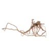 L Drachen Wurzel Nr.7125 Holz Deko Aquascaping