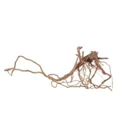 L Drachen Wurzel Nr.7125 Holz Deko Aquascaping