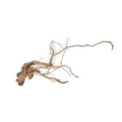 Titelseite -Haus Dekoration Verkaufsgeschäft L Drachen Wurzel Nr 7125 Holz Deko Aquascaping 7126 2 30848