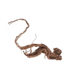 L Drachen Wurzel Nr.7129 Holz Deko Aquascaping -Haus Dekoration Verkaufsgeschäft L Drachen Wurzel Nr 7128 Holz Deko Aquascaping 7129 3 30851