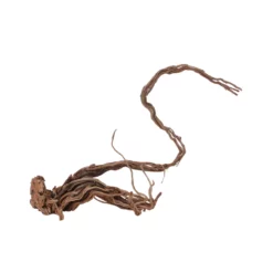 L Drachen Wurzel Nr.7129 Holz Deko Aquascaping -Haus Dekoration Verkaufsgeschäft L Drachen Wurzel Nr 7128 Holz Deko Aquascaping 7129 4 30851