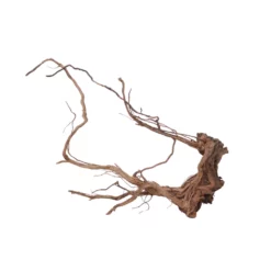 L Drachen Wurzel Nr.7132 Holz Deko Aquascaping