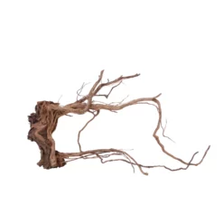 L Drachen Wurzel Nr.7132 Holz Deko Aquascaping -Haus Dekoration Verkaufsgeschäft L Drachen Wurzel Nr 7131 Holz Deko Aquascaping 7132 3 30854