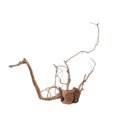 L Drachen Wurzel Nr.7141 Holz Deko Aquascaping -Haus Dekoration Verkaufsgeschäft L Drachen Wurzel Nr 7140 Holz Deko Aquascaping 7141 2 30863