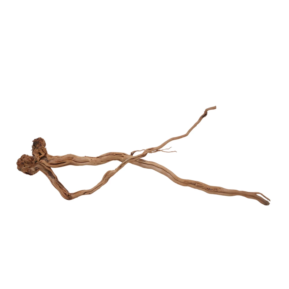L Drachen Wurzel Nr.7142 Holz Deko Aquascaping 3 L Drachen Wurzel Nr.7142 Holz Deko Aquascaping – Bild 3