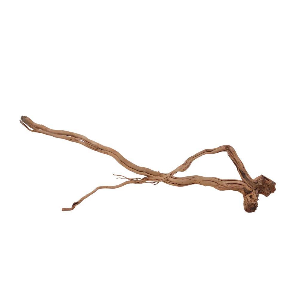 L Drachen Wurzel Nr.7142 Holz Deko Aquascaping 2 L Drachen Wurzel Nr.7142 Holz Deko Aquascaping – Bild 2