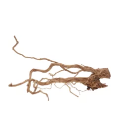 L Drachen Wurzel Nr.7145 Holz Deko Aquascaping -Haus Dekoration Verkaufsgeschäft L Drachen Wurzel Nr 7144 Holz Deko Aquascaping 7145 3 30868