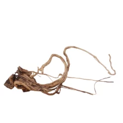 L Drachen Wurzel Nr.7148 Holz Deko Aquascaping -Haus Dekoration Verkaufsgeschäft L Drachen Wurzel Nr 7148 Holz Deko Aquascaping 7148 3 30871