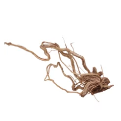 L Drachen Wurzel Nr.7150 Holz Deko Aquascaping