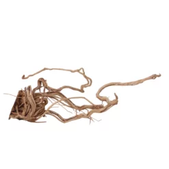 L Drachen Wurzel Nr.7150 Holz Deko Aquascaping -Haus Dekoration Verkaufsgeschäft L Drachen Wurzel Nr 7149 Holz Deko Aquascaping 7150 3 30873