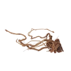 L Drachen Wurzel Nr.7150 Holz Deko Aquascaping -Haus Dekoration Verkaufsgeschäft L Drachen Wurzel Nr 7149 Holz Deko Aquascaping 7150 4 30873