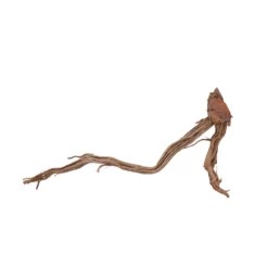 L Drachen Wurzel Nr.7151 Holz Deko Aquascaping 5 L Drachen Wurzel Nr.7151 Holz Deko Aquascaping -Haus Dekoration Verkaufsgeschäft L Drachen Wurzel Nr 7150 Holz Deko Aquascaping 7151 2 30874