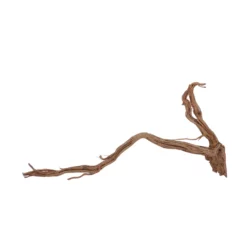 L Drachen Wurzel Nr.7151 Holz Deko Aquascaping 6 L Drachen Wurzel Nr.7151 Holz Deko Aquascaping -Haus Dekoration Verkaufsgeschäft L Drachen Wurzel Nr 7150 Holz Deko Aquascaping 7151 3 30874